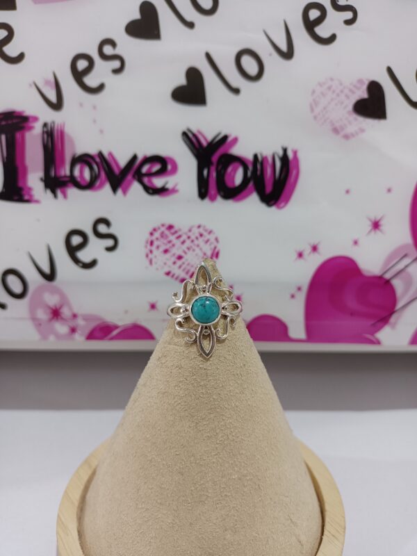 Anillo
